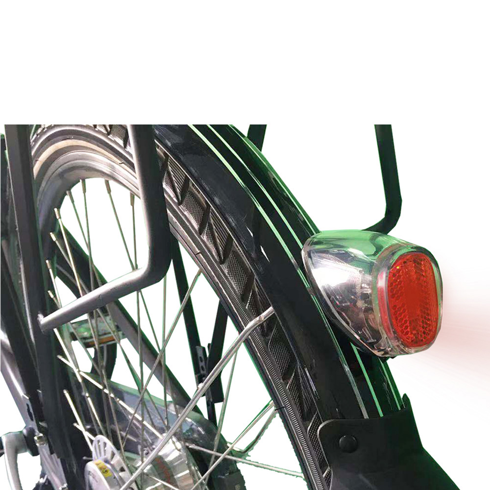 Greenpedel Spanninga 6V-36V Electric Bicycle 10LUX LED Taillight