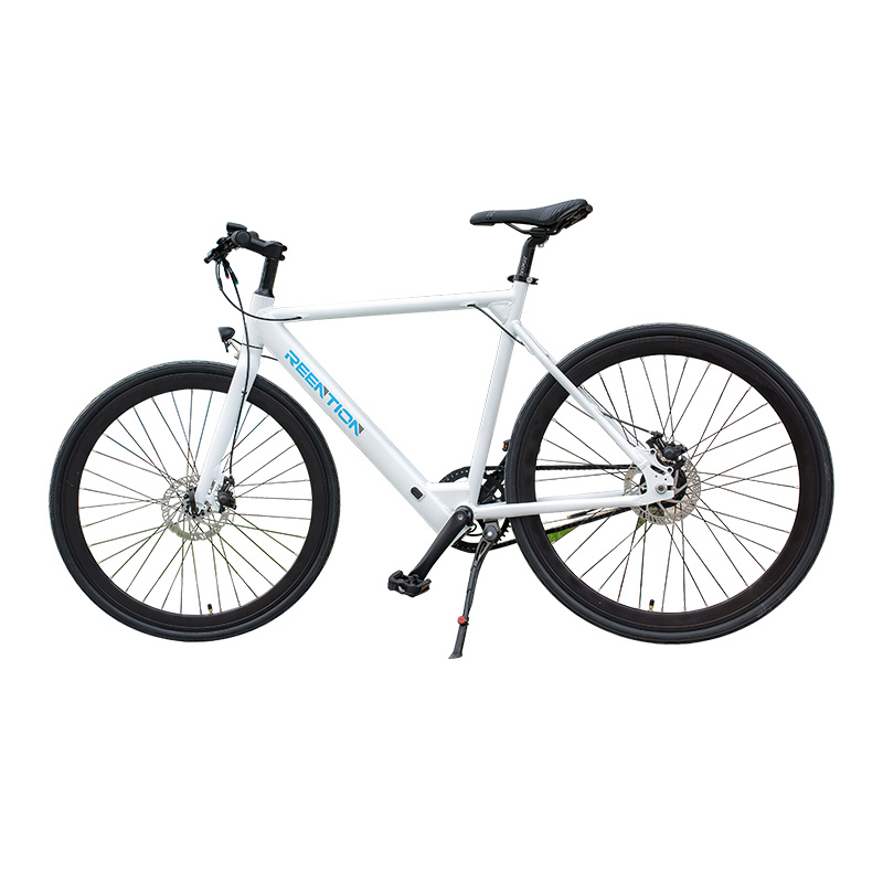 Greenpedel DRAGONFLY 36v Electric Bike Battery